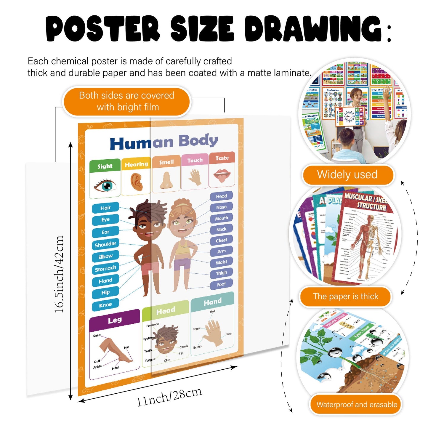 Kaiwatoy®20 Colorful Educational Posters - Cartoon English Alphabet Learning Cards for Children, Early Education Wall Charts