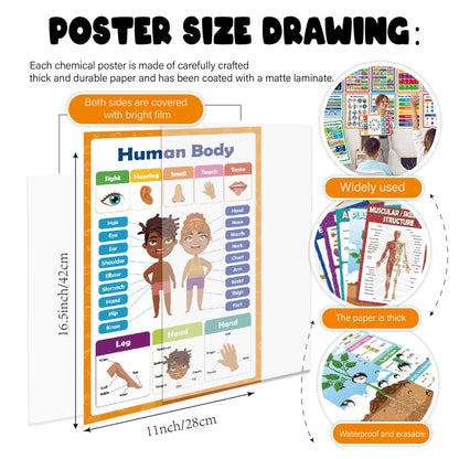 Kaiwatoy®20 Colorful Educational Posters - Cartoon English Alphabet Learning Cards for Children, Early Education Wall Charts